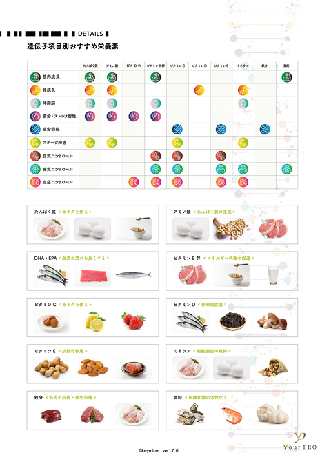 レポート中面(食材表)