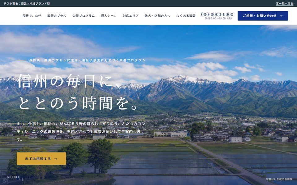 案B